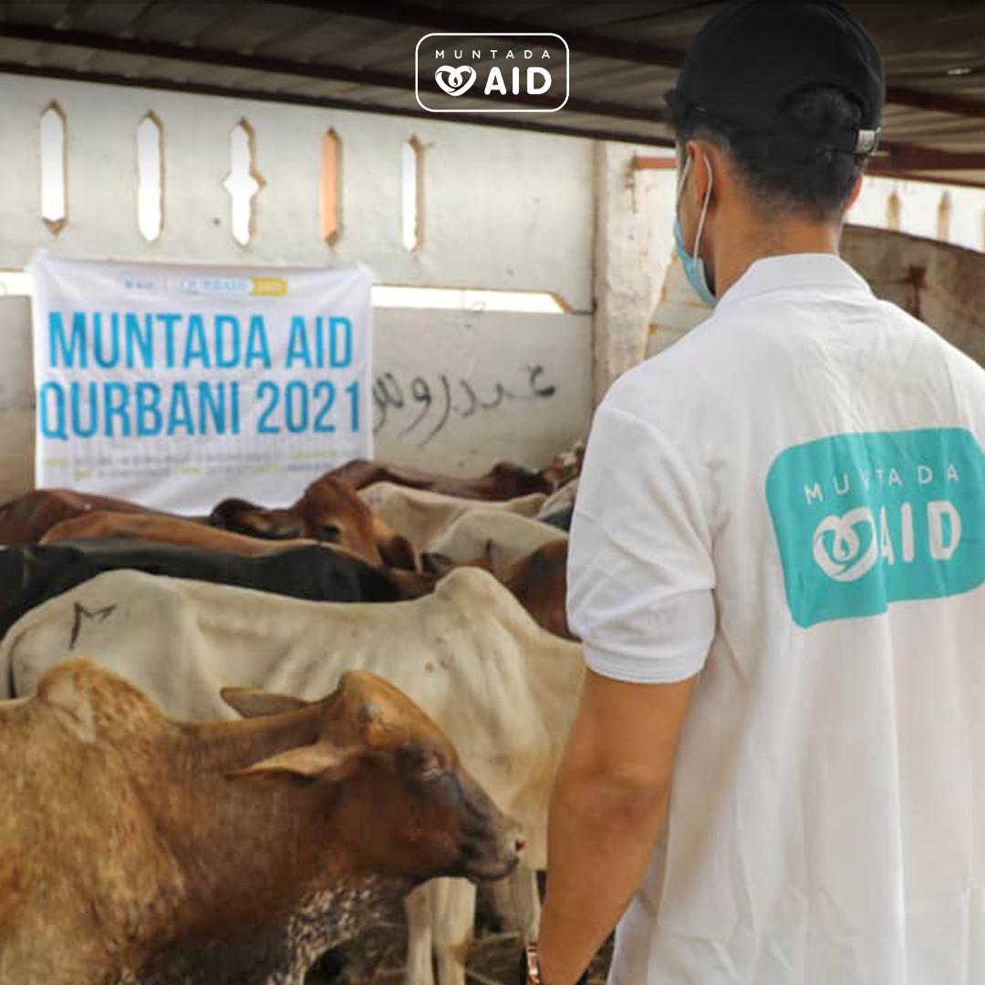 Yemen - Qurbani 2021 | Muntada Aid